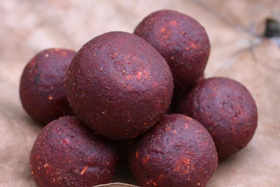 Cips Baits 2015 - csc1711.JPG